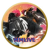 MMLIVE