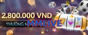 MMLIVE